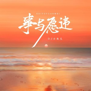 Album 事与愿违 from DJ 小鱼儿