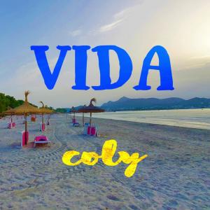 Listen to VIDA song with lyrics from OLIWIER C