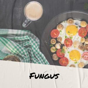 Album Fungus oleh Various