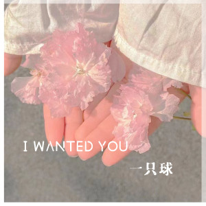 Listen to I Wanted You (DJ京仔版) song with lyrics from 一只球