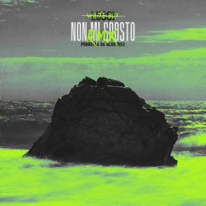 Album Non mi sposto (Remix) from White Boy