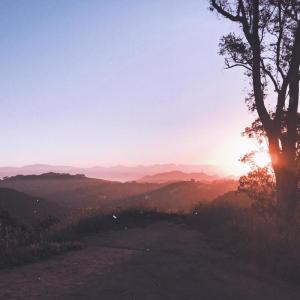 Listen to Live Your Life - Nick Cordero song with lyrics from Lenii