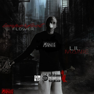 Album Imperfect Flower (Explicit) from Lil Manie