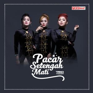 Listen to Pacar Setengah Mati song with lyrics from Trio Macan