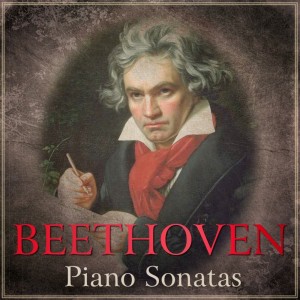 收聽Andy Sellier的Piano Sonata No. 29 in B-Flat Major: Hammerklavier (Complete)歌詞歌曲