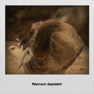 收听Lanel Shie的Previous Greyness歌词歌曲