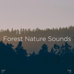 ดาวน์โหลดและฟังเพลง River Sound พร้อมเนื้อเพลงจาก Nature Sounds