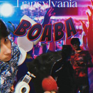收聽TRAPSYLVANIA的Boaba (feat. Luciosu, Deiu Baros & Schem) (Explicit)歌詞歌曲