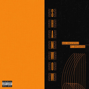 ดาวน์โหลดและฟังเพลง Shamwow (Explicit) พร้อมเนื้อเพลงจาก Rizz Brockway