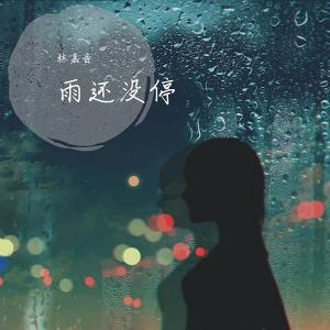 收聽林嘉音的雨還沒停歌詞歌曲