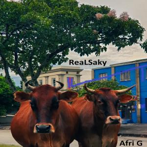 Listen to AfricanG song with lyrics from RealSaky