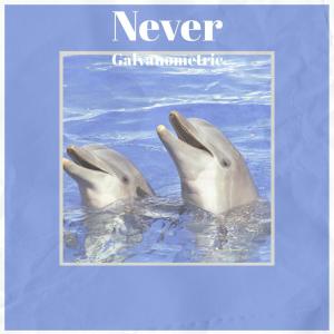 Listen to Barely Reward song with lyrics from Natrice Suus
