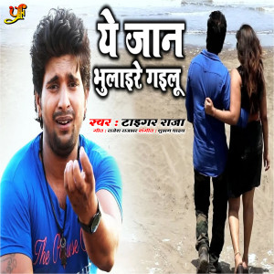 Album Ye Jaan Bhulaire Gailu from tiger raja