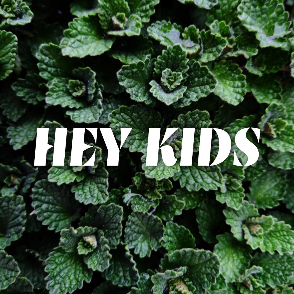 Hey Kids(Slowed)
