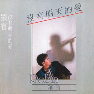 收聽羅賓的心愛的小鎮歌詞歌曲