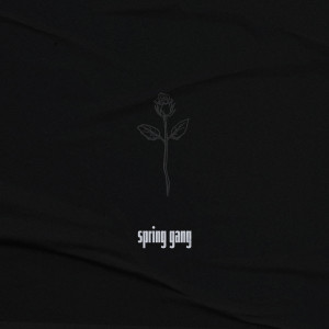 อัลบัม Now I'm All Yours ศิลปิน spring gang