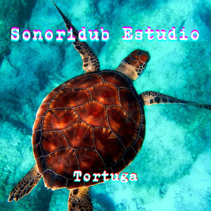 ดาวน์โหลดและฟังเพลง Tortuga พร้อมเนื้อเพลงจาก Sonoridub