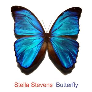 ดาวน์โหลดและฟังเพลง Butterfly (完整版) พร้อมเนื้อเพลงจาก Stella Steevens