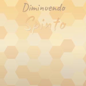 Various Artists的專輯Diminuendo Spinto