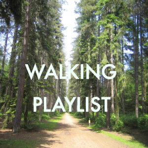 Listen to Pappy's Mountain Still song with lyrics from George Payne