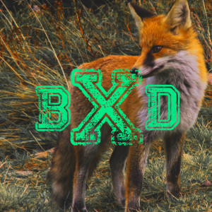 收聽BlackearacheXD的Corneria (From "Star Fox")歌詞歌曲