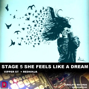 Dubslate records的專輯Stage 5 She Feels Like a Dream