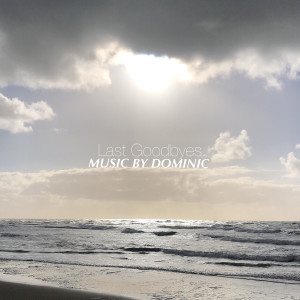 Listen to Last Goodbyes (Live) song with lyrics from Dominic
