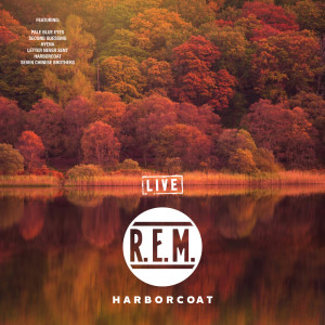 Listen to Hyena song with lyrics from R.E.M