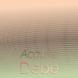 Various的专辑Acquire Debe