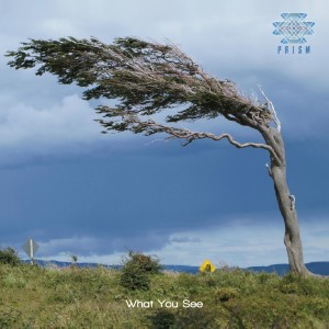 收聽PRISM的What You See歌詞歌曲