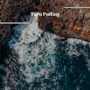 Album Turn Puffing from Various