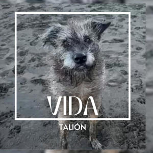 Talion的專輯Vida (feat. Gabeats music) [Explicit]