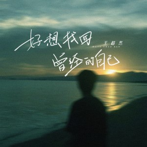 Album 好想找回曾经的自己 from 王超然
