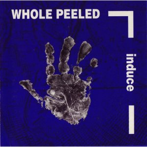 收聽Whole Peeled的Wellerman歌詞歌曲