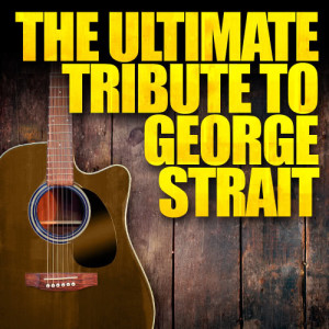 ดาวน์โหลดและฟังเพลง She Let Herself Go พร้อมเนื้อเพลงจาก Pure Country Heroes