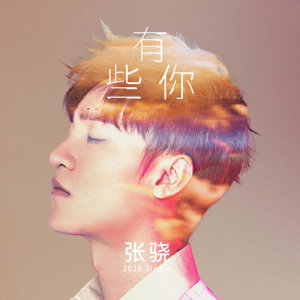 Dengarkan 有些你 lagu dari 张骁 dengan lirik