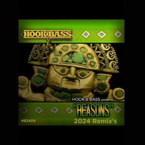 收聽Willie Rodriguez的Reasons (Hook & Bass Remix)歌詞歌曲