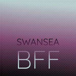 Various Artists的專輯Swansea Bff