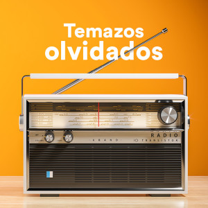 收聽Manuel Carrasco的Tan Solo Tu歌詞歌曲