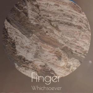 Album Finger Whichsoever from Various