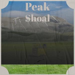 Album Peak Shoal from Various