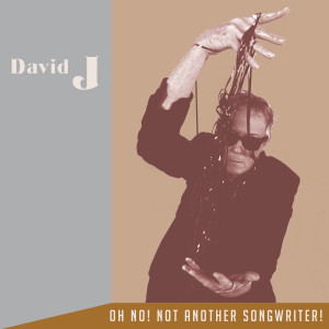 อัลบัม Oh No! Not Another Songwriter! ศิลปิน David J