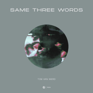 Listen to Same Three Words (Extended Mix) song with lyrics from Tim van Werd