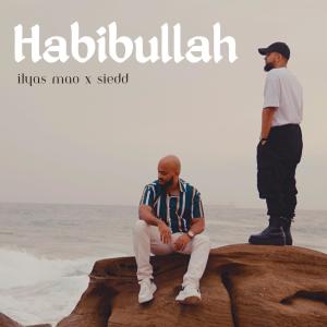 Habibullah (feat. Siedd)