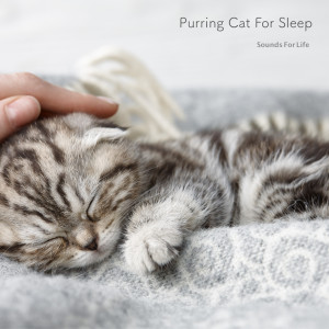 ดาวน์โหลดและฟังเพลง Purring Cat for Sleep พร้อมเนื้อเพลงจาก Sounds for Life
