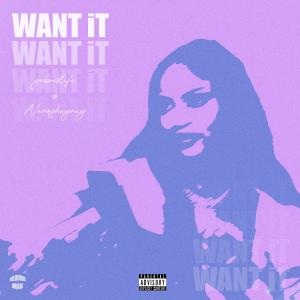 Want It (feat. Nano Shayray) (Explicit) dari Nano Shayray