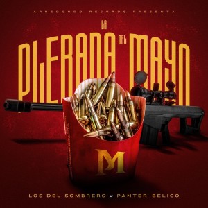 Listen to La Plebada del Mayo song with lyrics from Los Del Sombrero