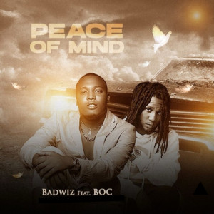 Album Peace of Mind (Explicit) from BOC