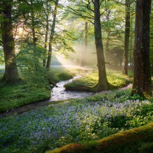 default playlist img