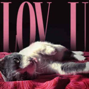 Album Lov U from Billa Qause